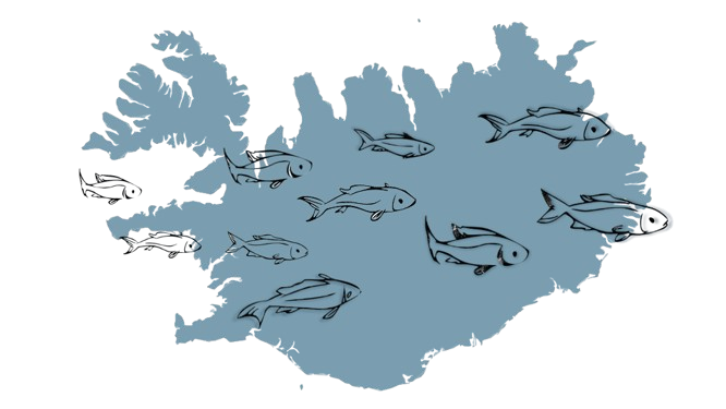 Logo of Ice Fish Research without text