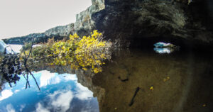 The caves come in different shapes and sizes and some even have more than one entrance.